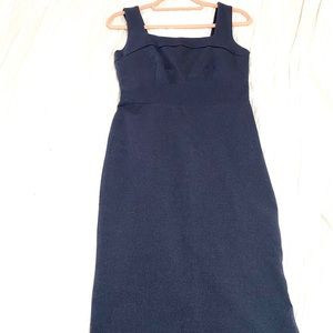 NWOT Banana Republic Dress